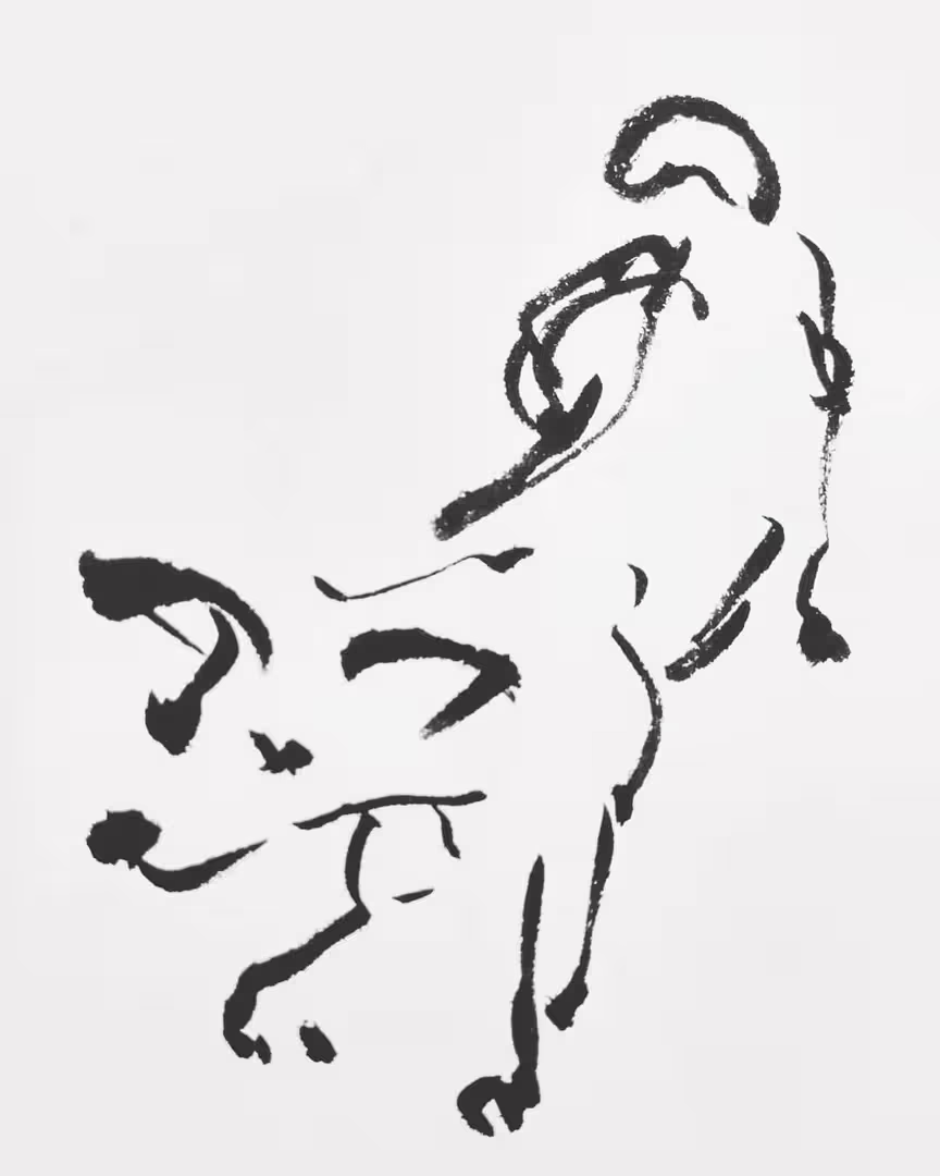 10086/V8H1g52BxH1BDf971xiGoEIxqQPY3bINy2u9dCzo.jpg