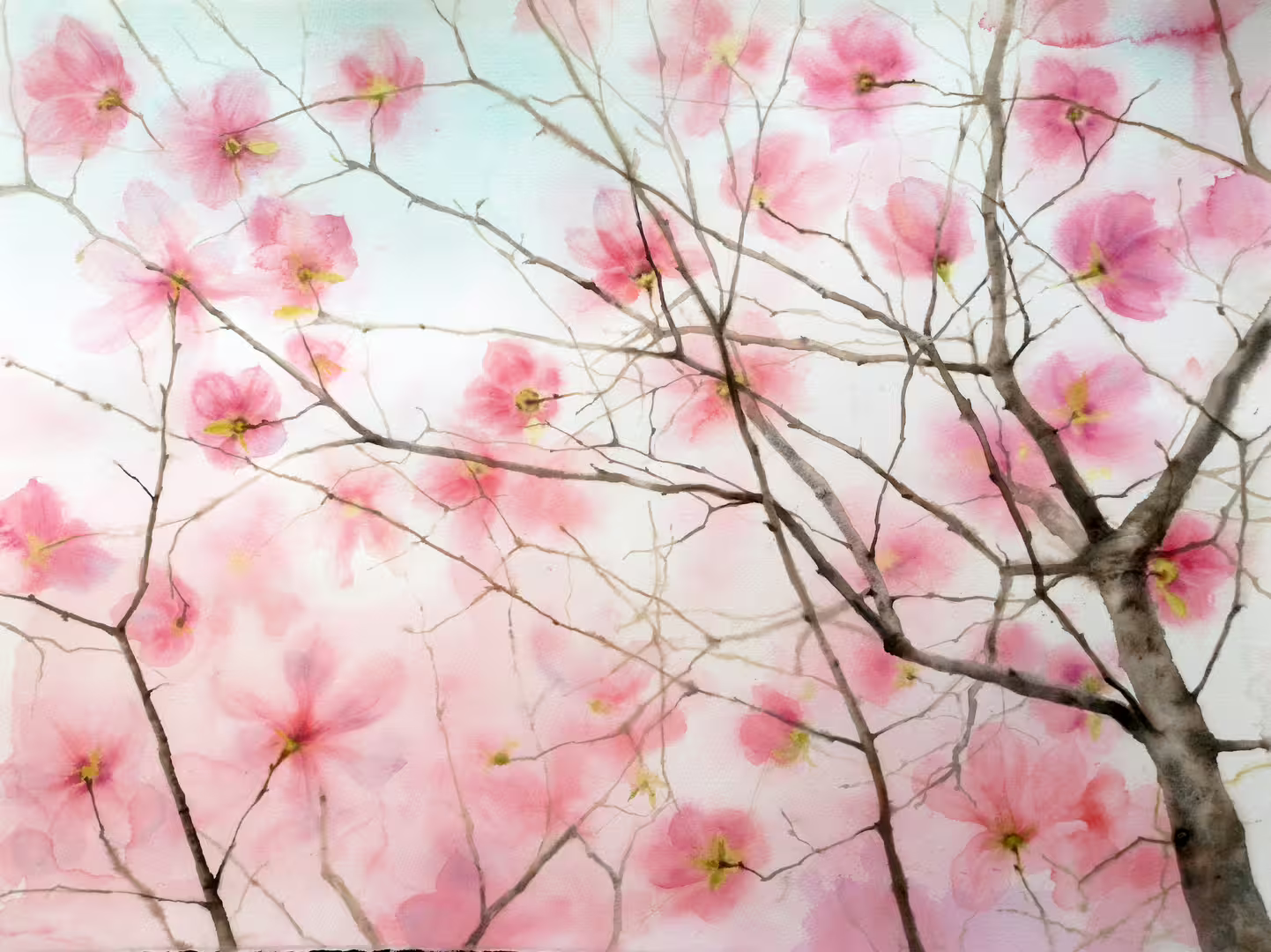 magnolia blossoms watercolor olga beliaeva.jpg
