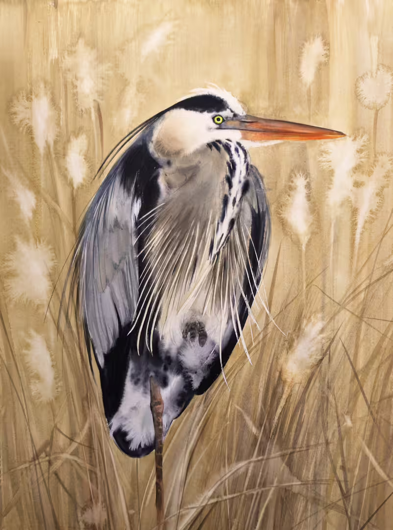 grey heron watercolor by olga beliaeva.jpg