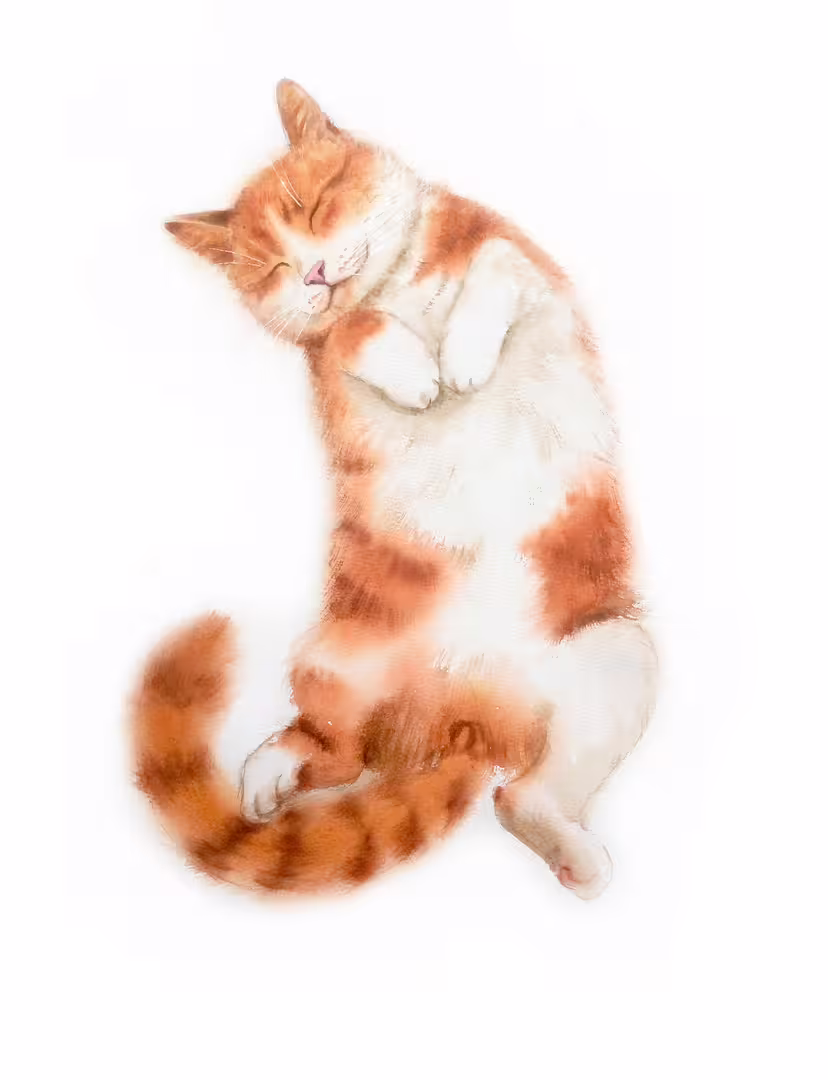 fat ginger cat sleeping  watercolor.jpg