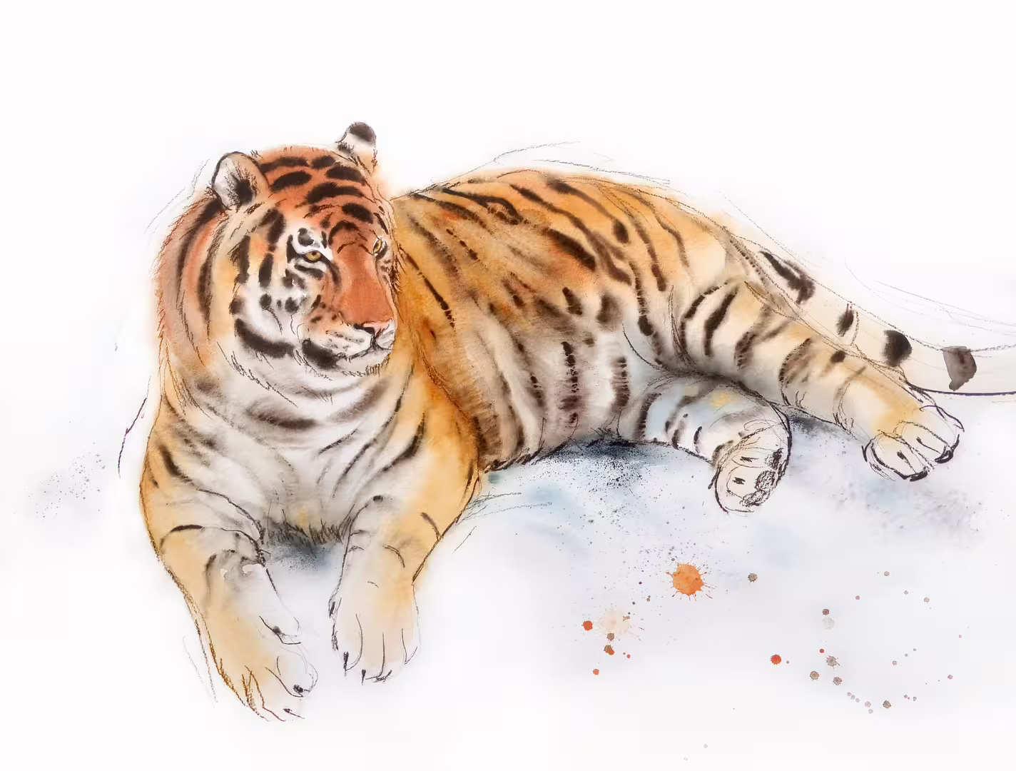 Amur tiger watercolour by Olga Beliaeva.jpg