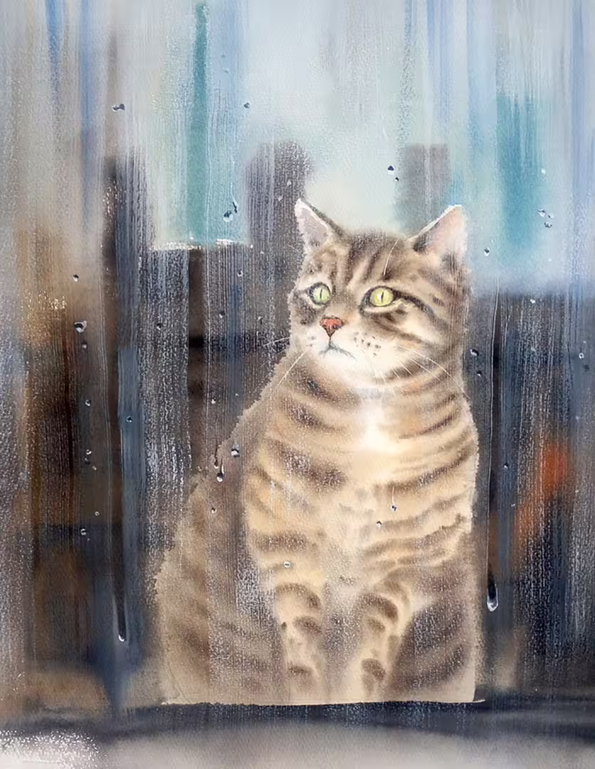 Rainy Cat ≧^◡^≦.jpg