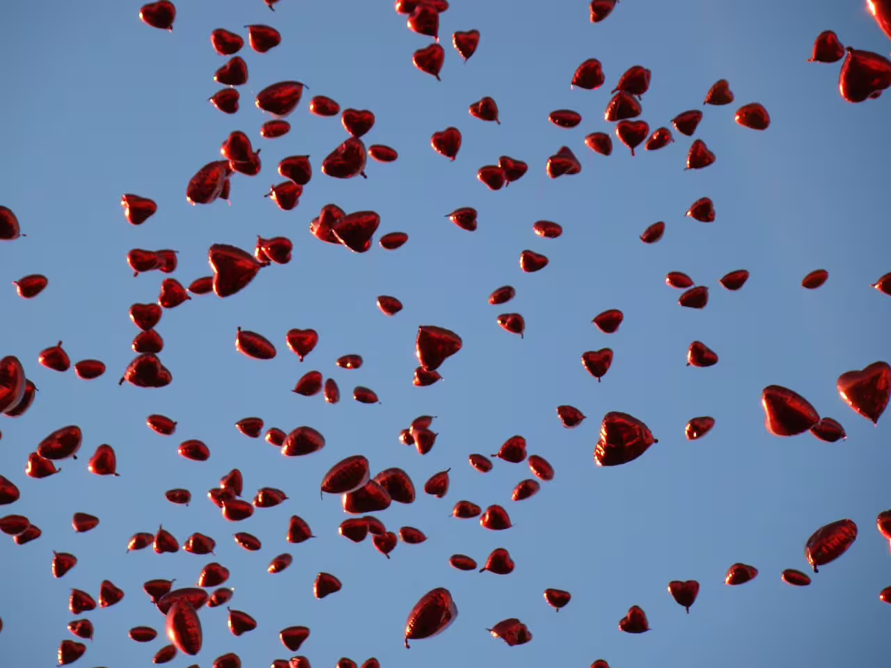1000003319.jpg