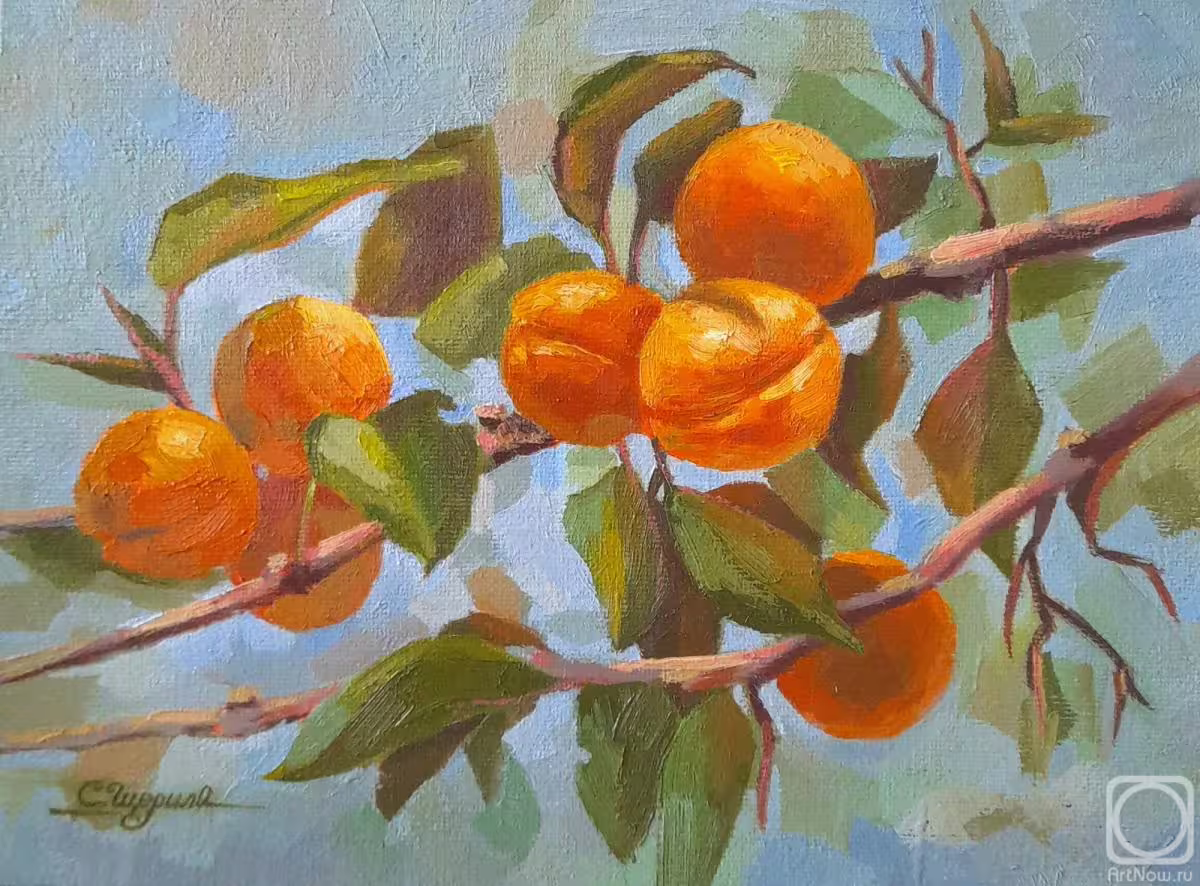 10956/rgnFxf7uzoXMdhVewfxxUJiaQWlGWGlFFnwL7Z8O.jpg