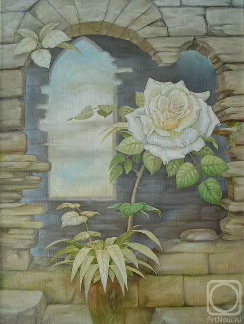 11081/aQmL4rlNCaPP2KoaJAGq2dCpOPHNk0TPcwjCj892.jpg