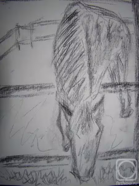 11149/63DWHUkm7mvt4VzC7NJjgFO0s1hl1yAXTr8V5C65.jpg