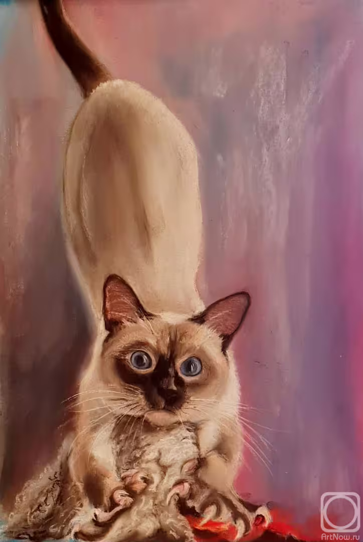 11232/zi6BxRMAX5CCOglQZwNyBFXPh9cRZRiDFmHb32BL.jpg
