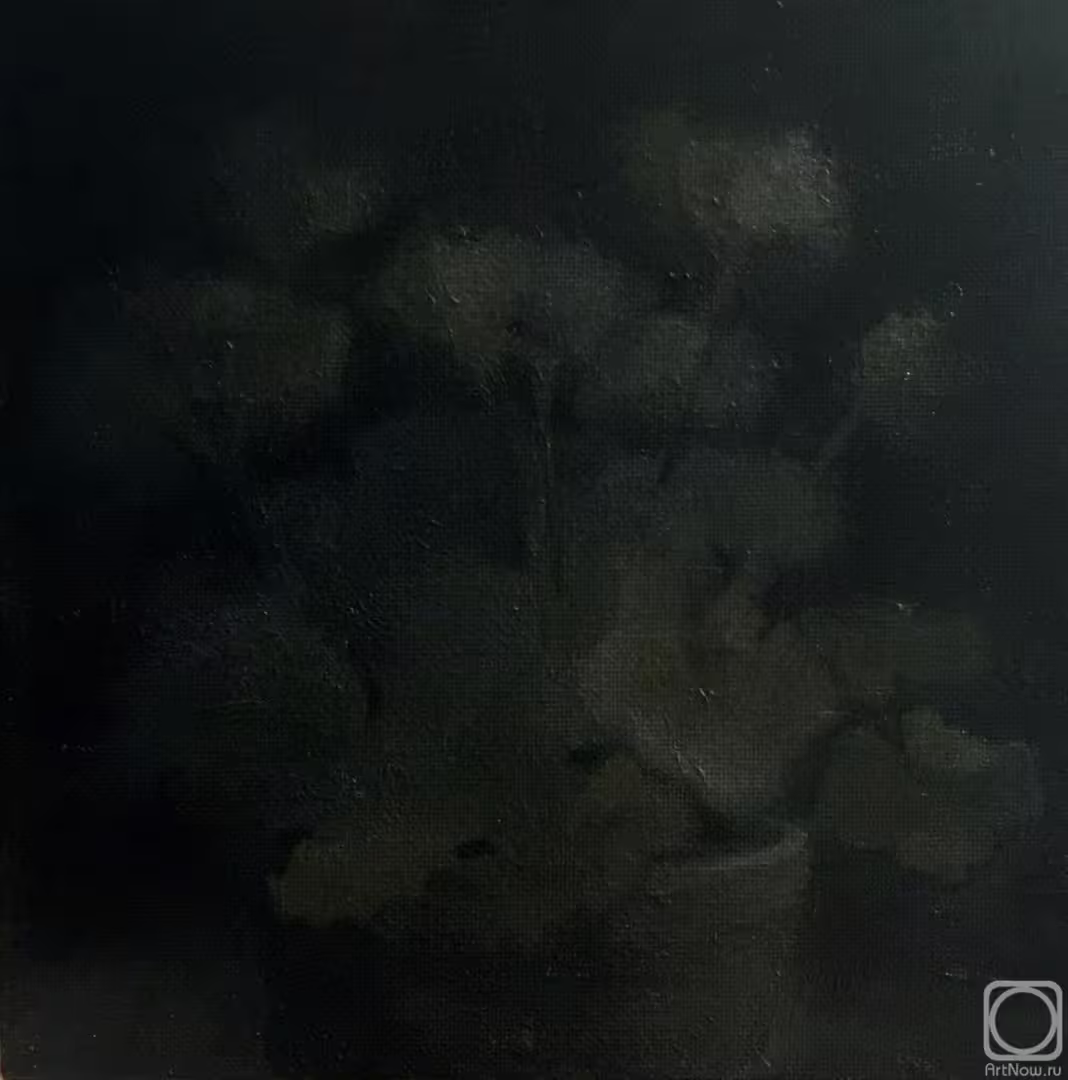 11539/xYKzmNHpATw9Mblg1xjxZPqZO60xkPay2Dq3MFQi.jpg