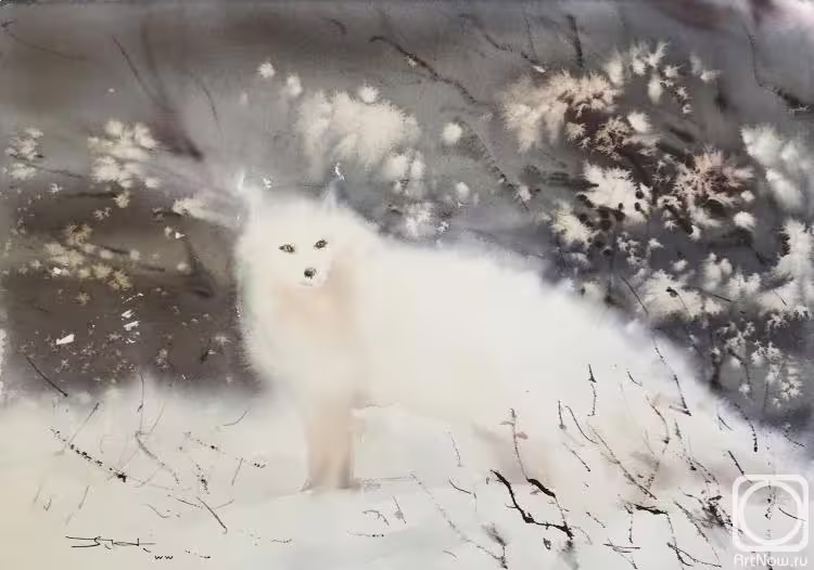 11832/kn1xPGTXwYva3hbdqVUanASzr51eeSnVSnOfIyOw.jpg