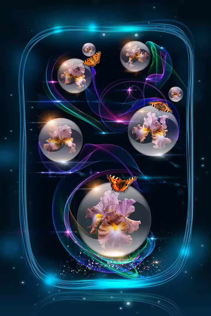 463246162_3025130170973114_4480081468061914063_n.jpg