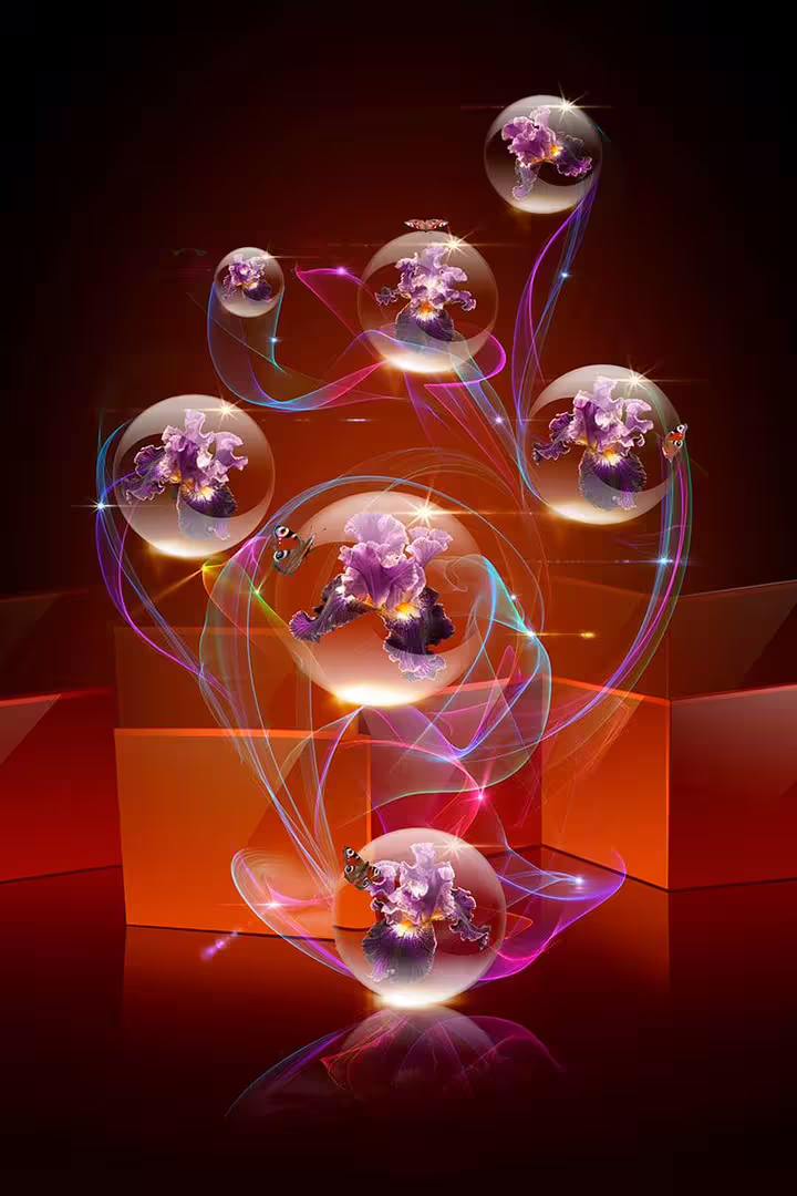 181643645_2043735872445887_5852044932020539373_n.jpg