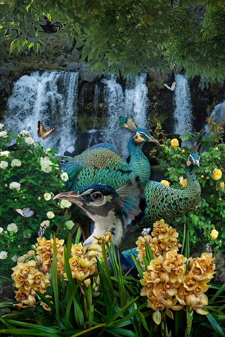 112337815_1783772665108877_3824535888301651540_n.jpg