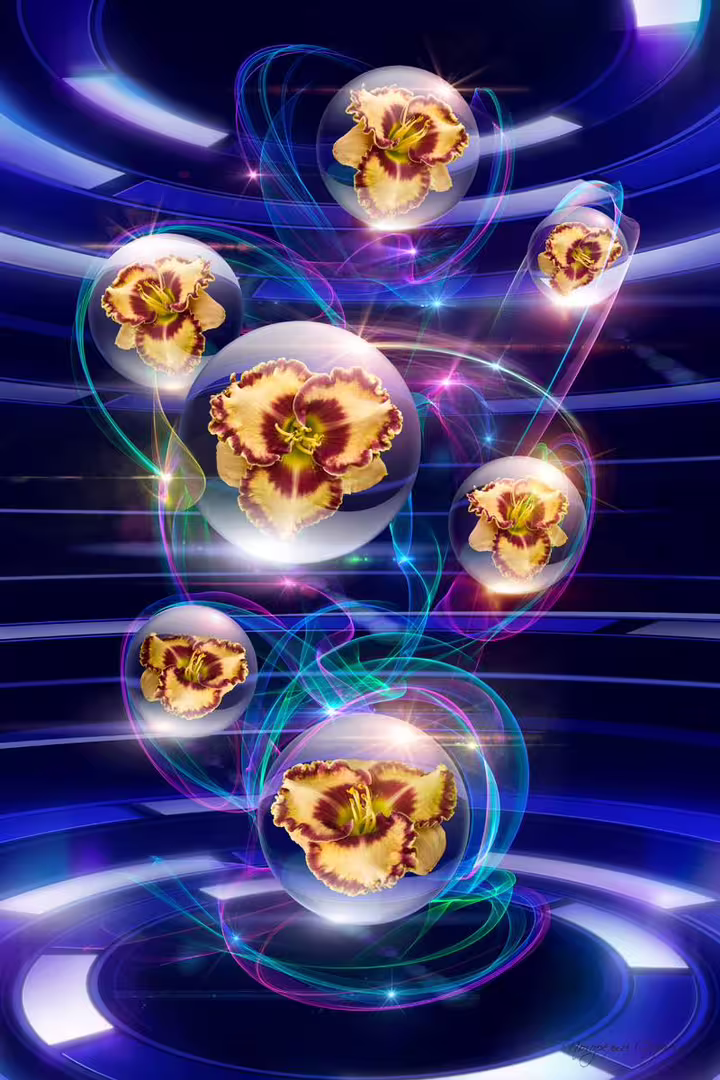 462588983_3017084535111011_2250670821207211861_n.jpg
