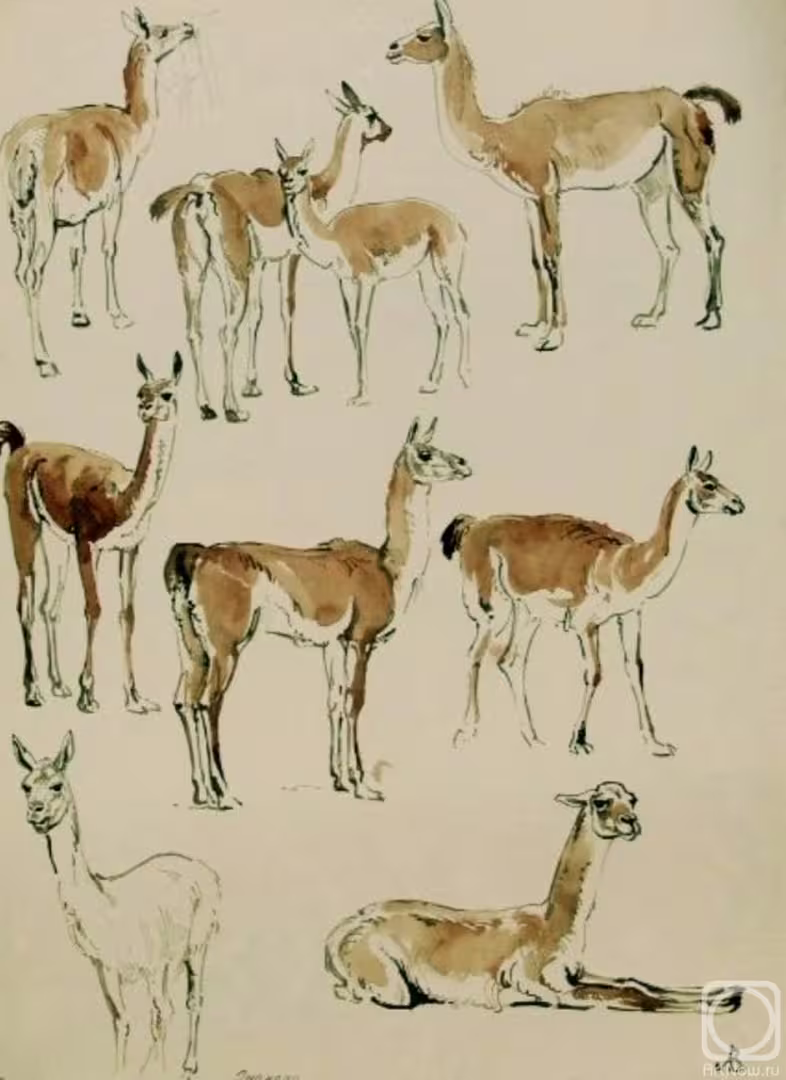12202/CPlzjJvkQnshX60fYOP6vfLsLyDyzS5rDXHJ4EYe.jpg