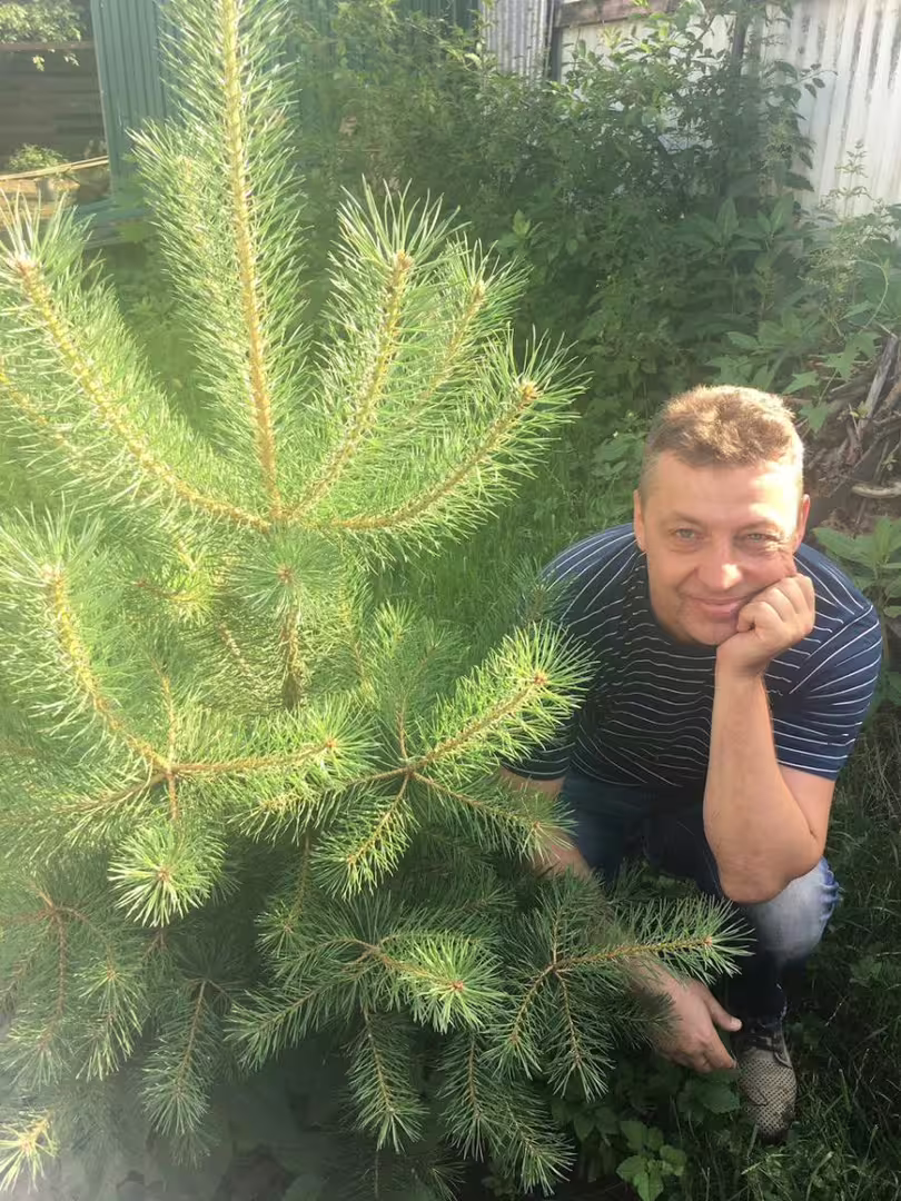 Аватар пользователя