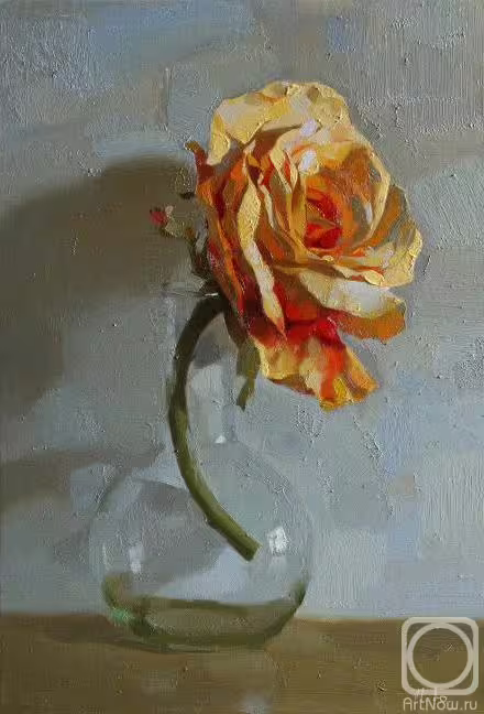 12353/UaOeIYbvoMjUO5Ei8WEYJMUUU4lsmgbcGiXt6ZO7.jpg
