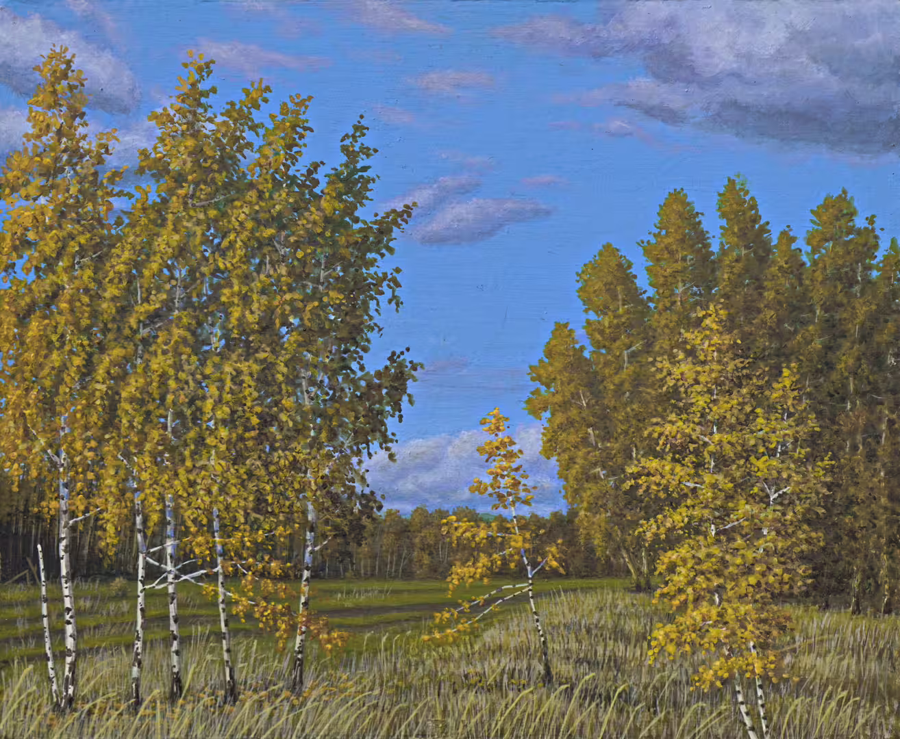 _DSC3855ъъяюююю.JPG