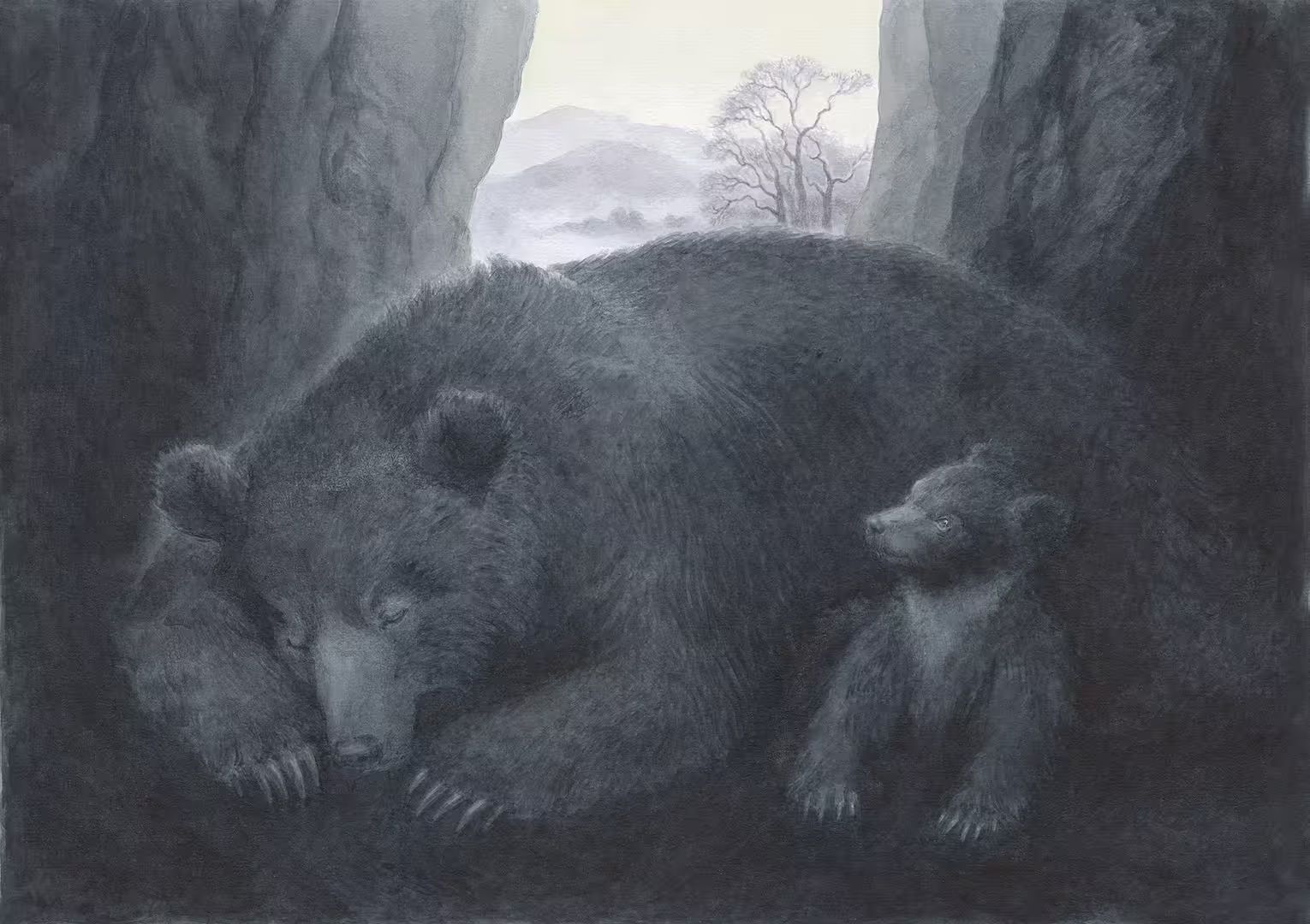 13151/0vnVyOZQiMhLg1iZRq7uB1nVmzNAkArThyX16sWu.jpg