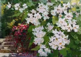 13936/lunVj7lJDKYrLuD8dKDkRjg7XdNV1OR4Nz2JdSwn.png