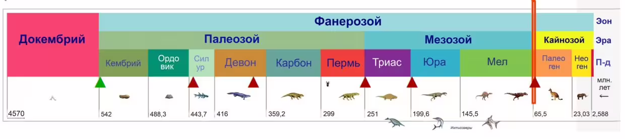 14210/WSZfgJLAitcXdPuGmCC146cdDBagPdYPPLk2Zop2.jpg