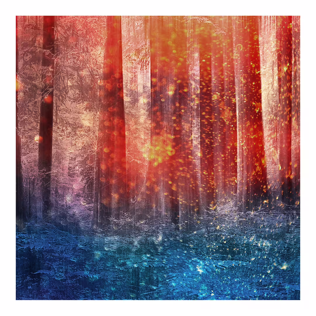 Forest_finish.jpg