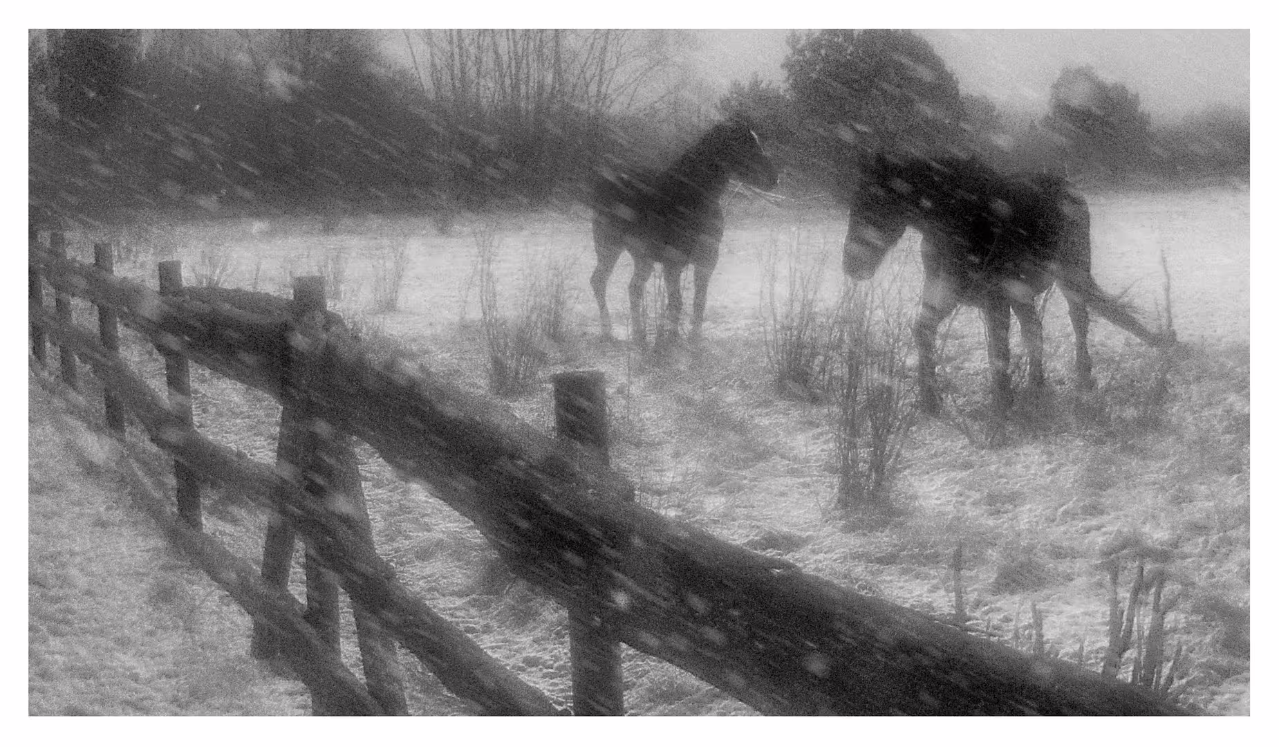Horses_Finish.jpg