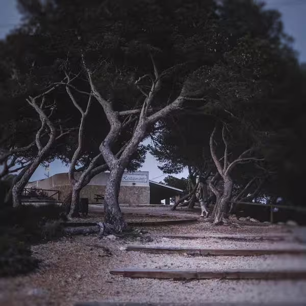 6 (Copy).jpg