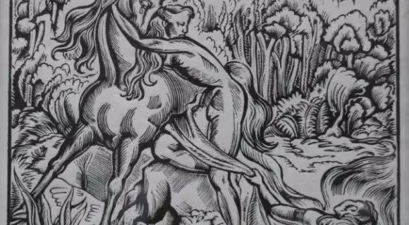 14516/84odLbo1tQ2HUhXKReWENn22nyUbTxHBgZsyHyId.jpg