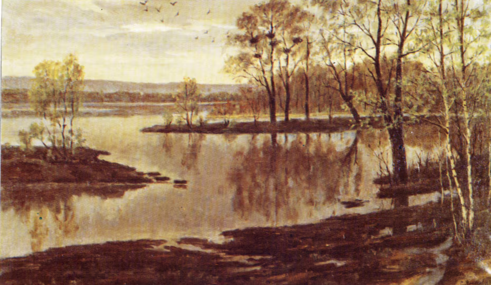 14844/rUgRHzoPDQntEOrg5b3Il9TnvXjKrqVxygPaM59P.jpg