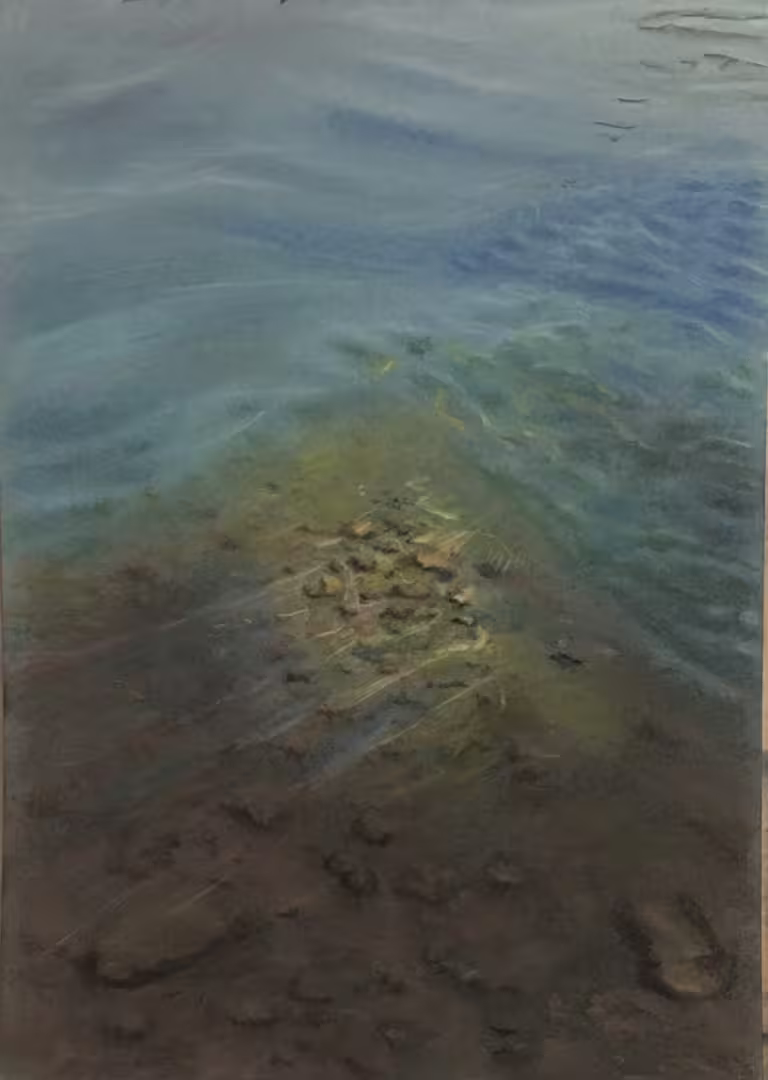 Блики на воде. Река Обь в районе села Дубровино. (2020_11_17 23_17_42 UTC).jpg