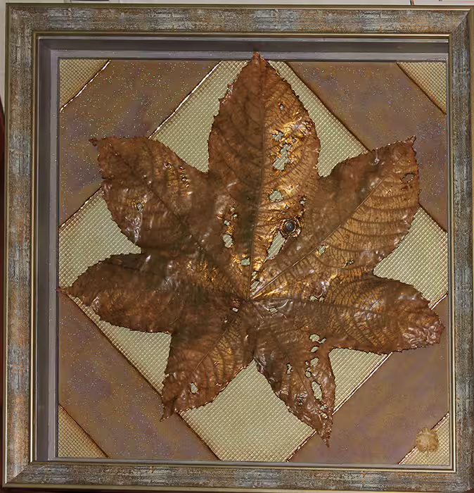 15569/sZgp4kceRi4J8VfbwGjPCL7hkKQala91EicIqnoM.jpg