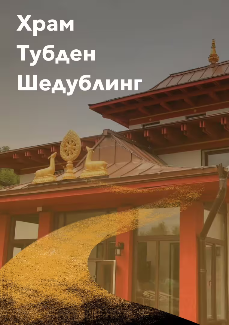 15837/xjJpT5kRLaPeDK5sHtZoZf7HWcPYP3nrAyQdlSl8.jpg