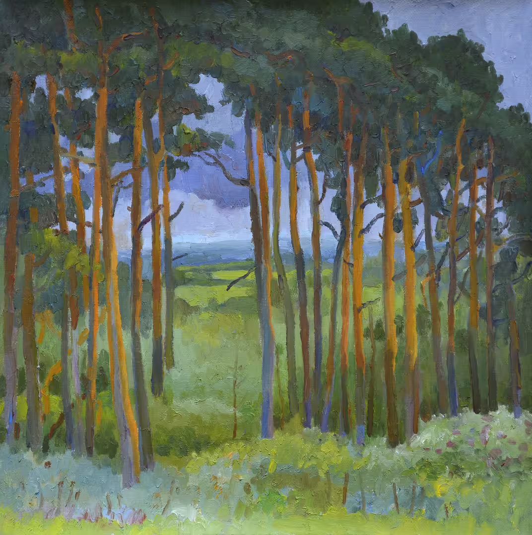 Нестерова А.М. Сосны. Перед дождем. Вологодская обл. х.м. 50х50 см 2014 г .JPG