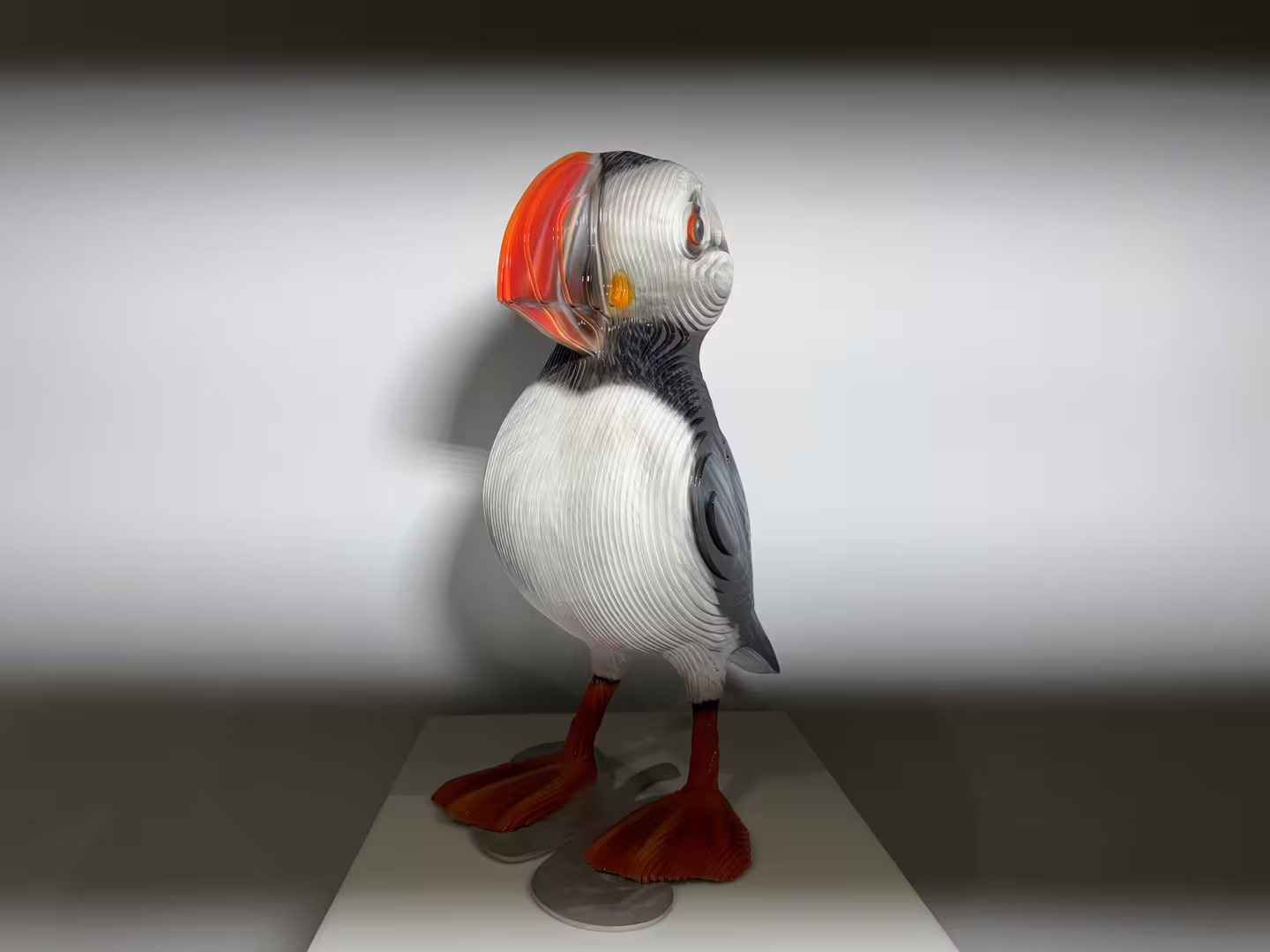 19.JPG