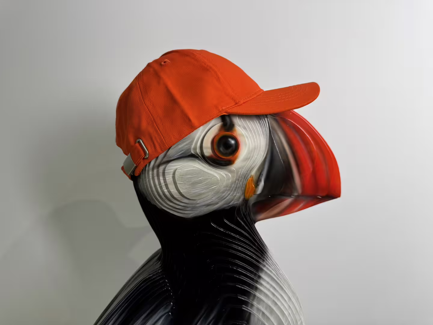 17.JPG