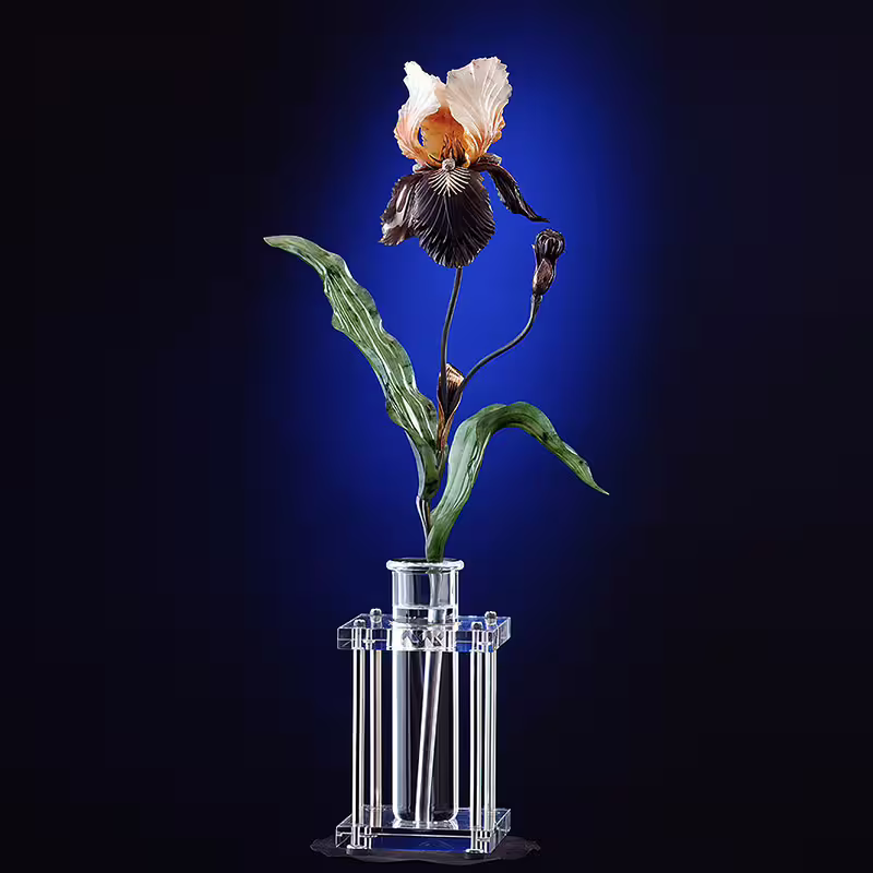 Iris.jpg