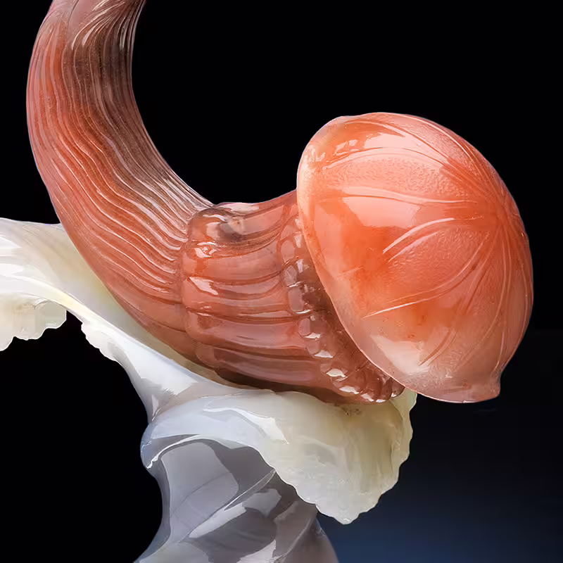 meduza_fr1.jpg