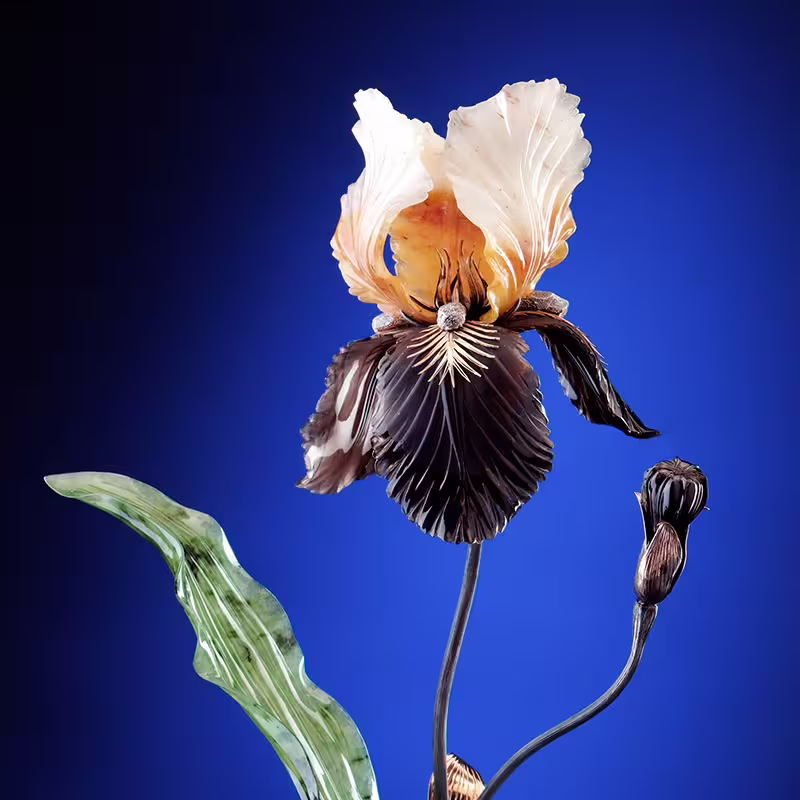 iris_fr1.jpg