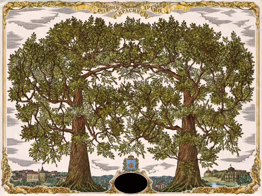 16799/qIilEslTWWJfrqhcALmRZMu8tvrqM41WUipwSg0F.jpg
