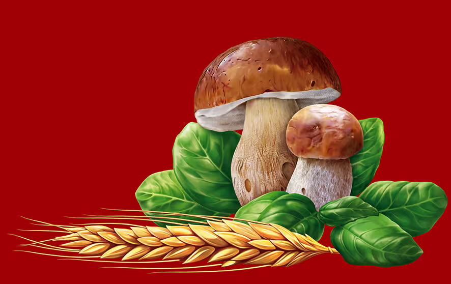 17068/G74YuJQXdlkBC10nwfkfeDgCHazRwDtleynRvoEG.jpg
