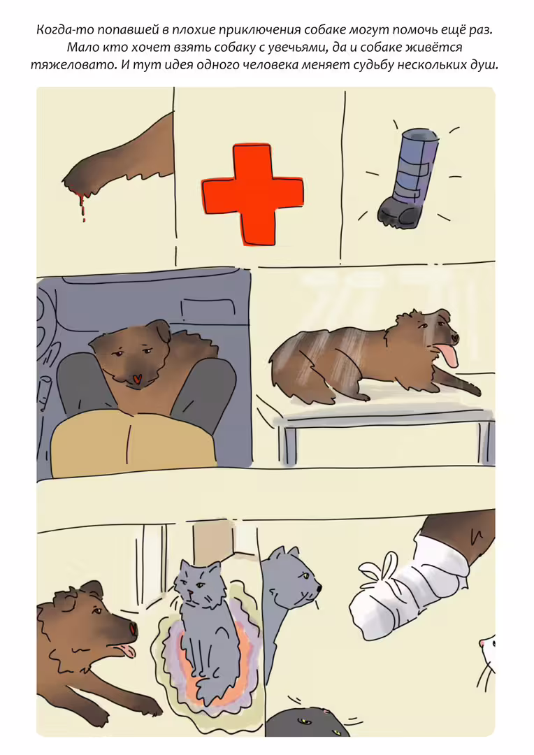 Комикс Рада-9.jpg