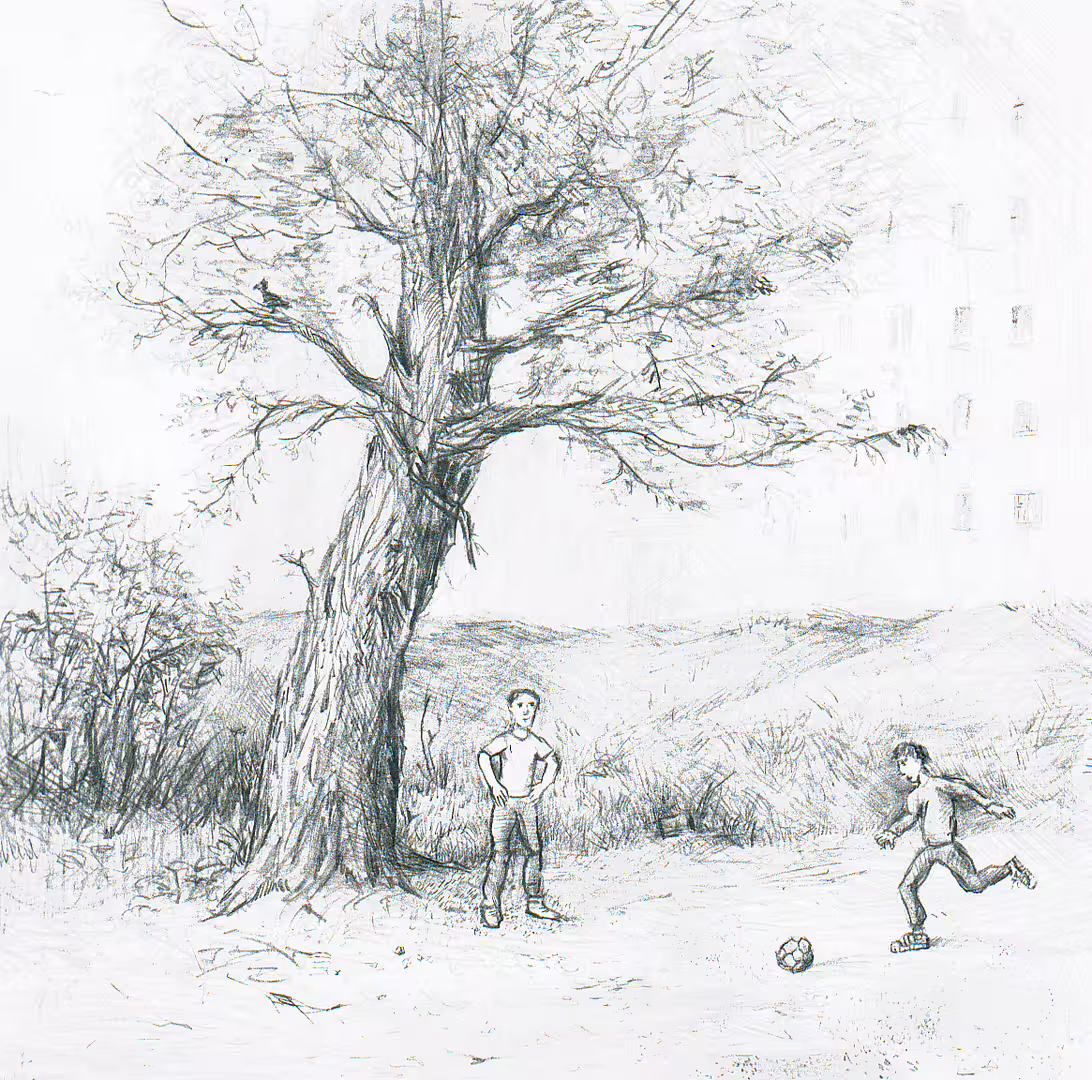 18521/SrVpfj8rDR1o8FqTd62zqF7XPn2VhtSndk2KgmYO.jpg