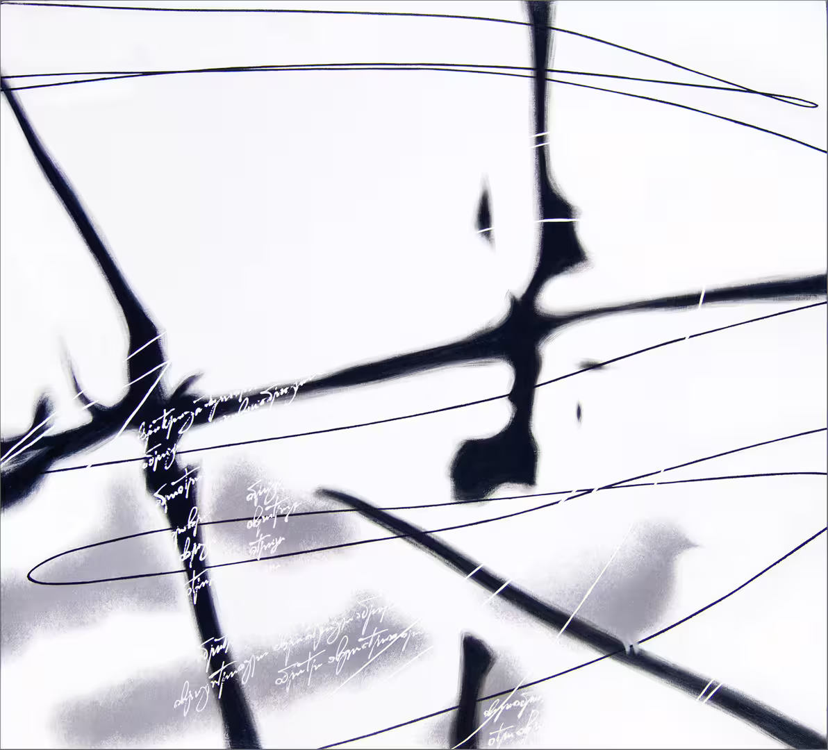 through_the_glass1500.jpg