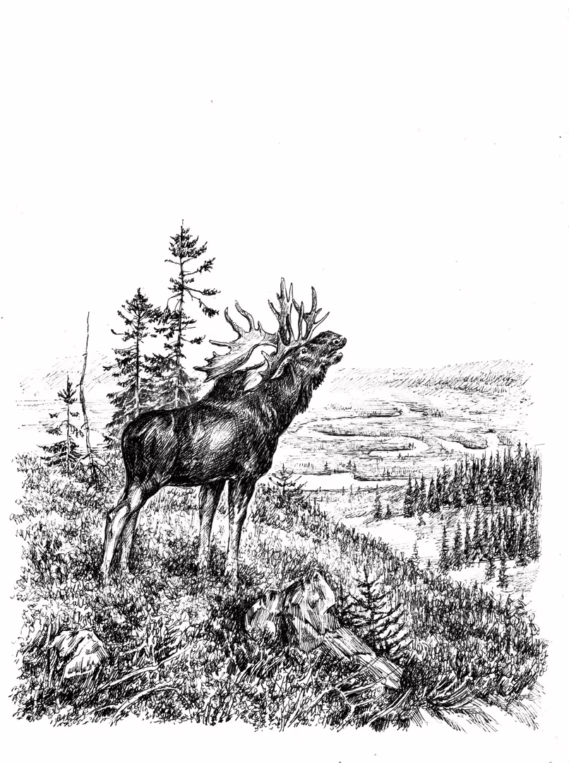 20624/2fJYE72Zf1rfJCclKwIdvHMkn7xZ0O1ReL8ptoYu.jpg