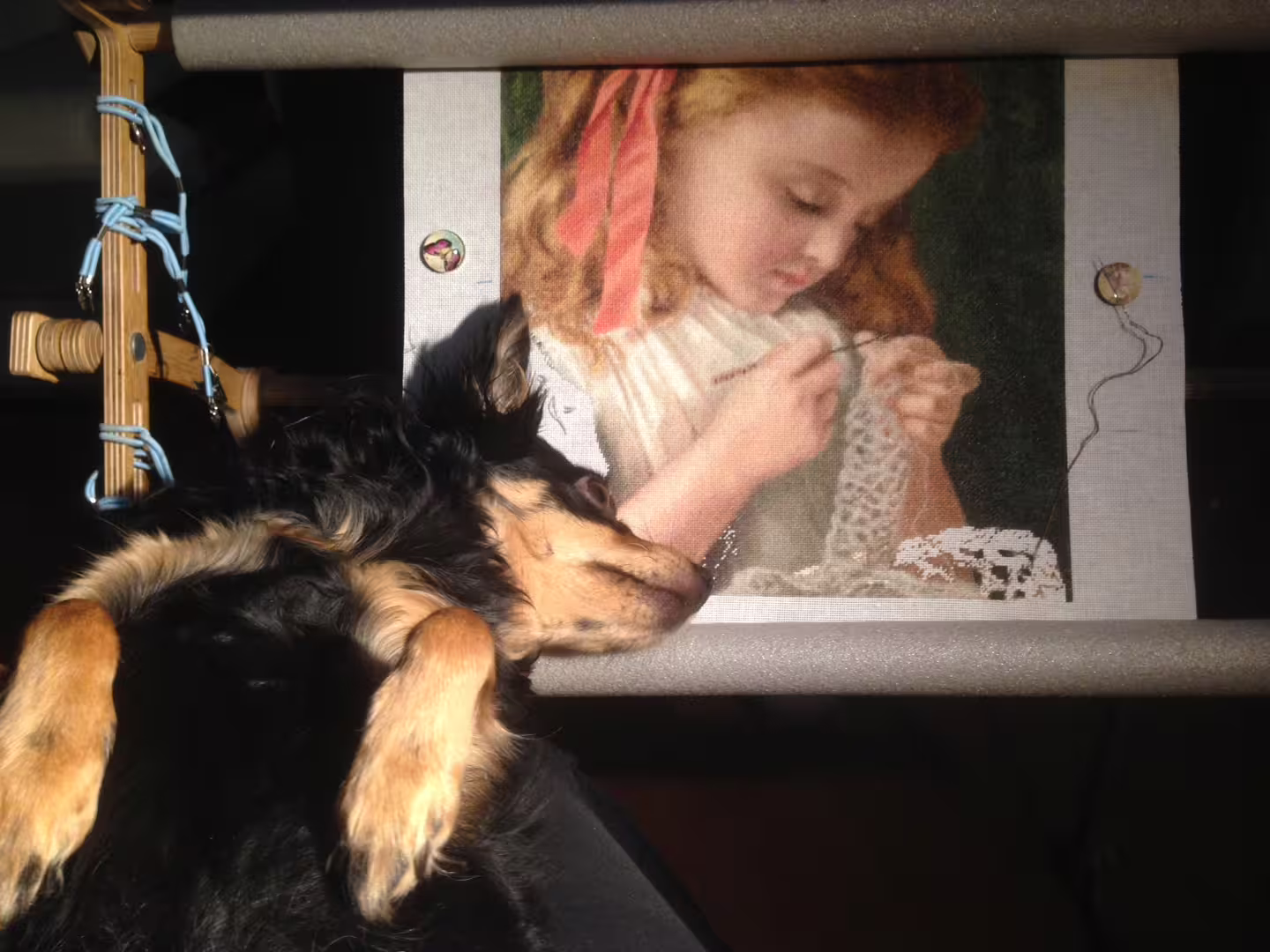 9_10 апр 2019_Шанни1.JPG