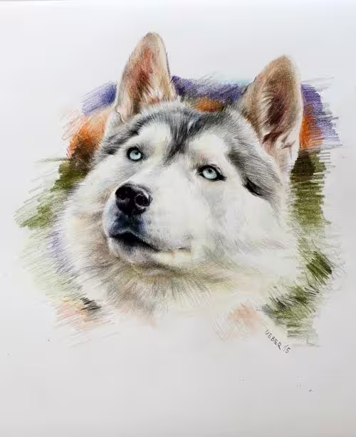 20667/47CrI7337E9rqPkMIpP3LNiOFrakTp8MIKpjwvxr.jpg