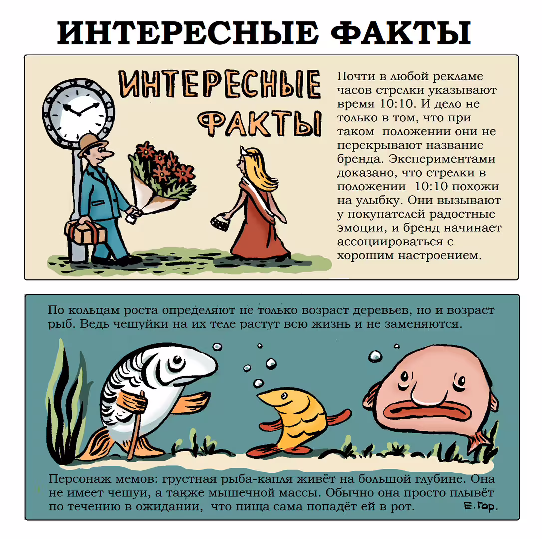 21282/WqxPJiau3rIAykODakFdmppZsFqEUTPeqyD9XdGF.png