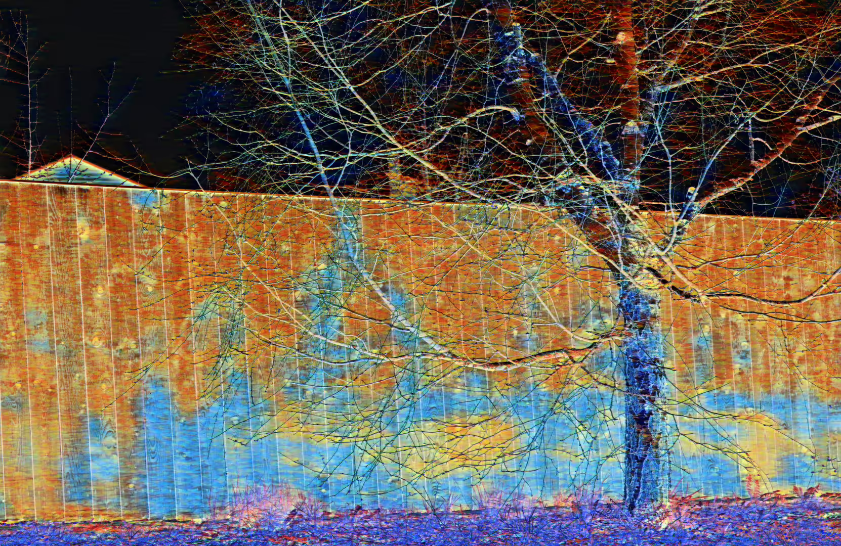 DSC08758 fhn.jpg