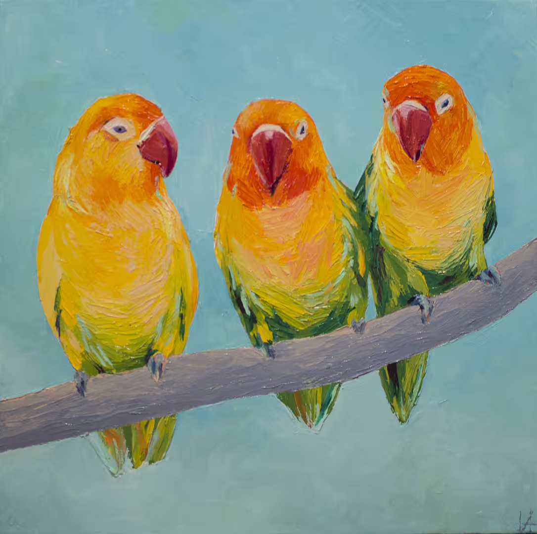 parrots_40x40cm_01.jpg