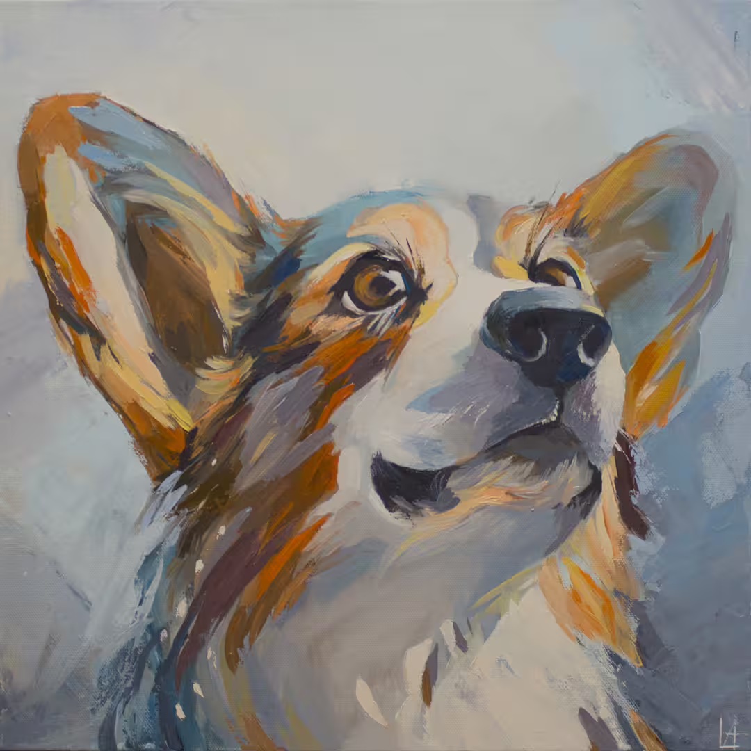 korgi_40x40cm_01.jpg